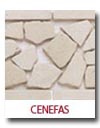 CENEFAS